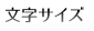 文字サイズ
